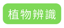 植物辨識